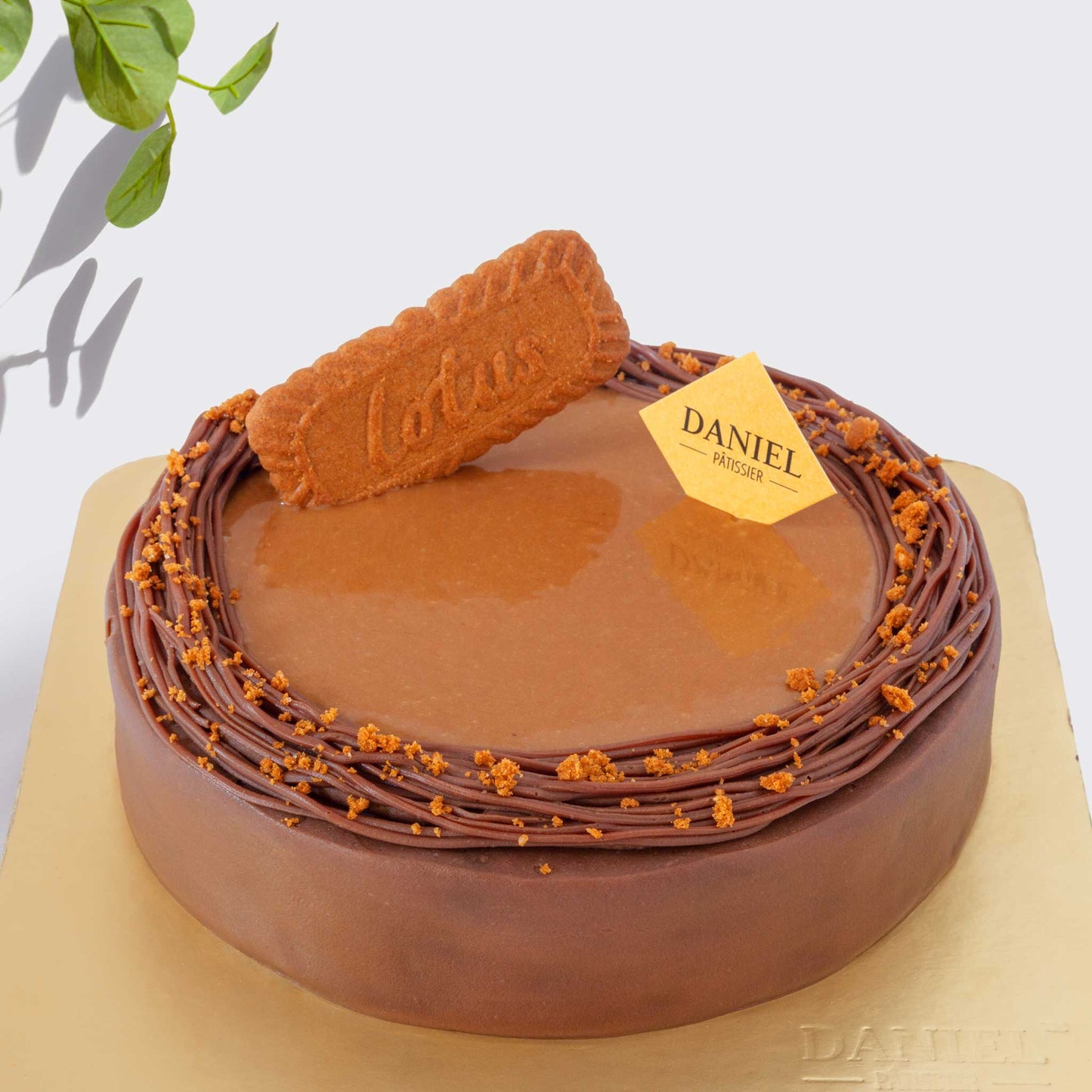 DANIEL'S Lotus Biscoff Cake (1/2kg)