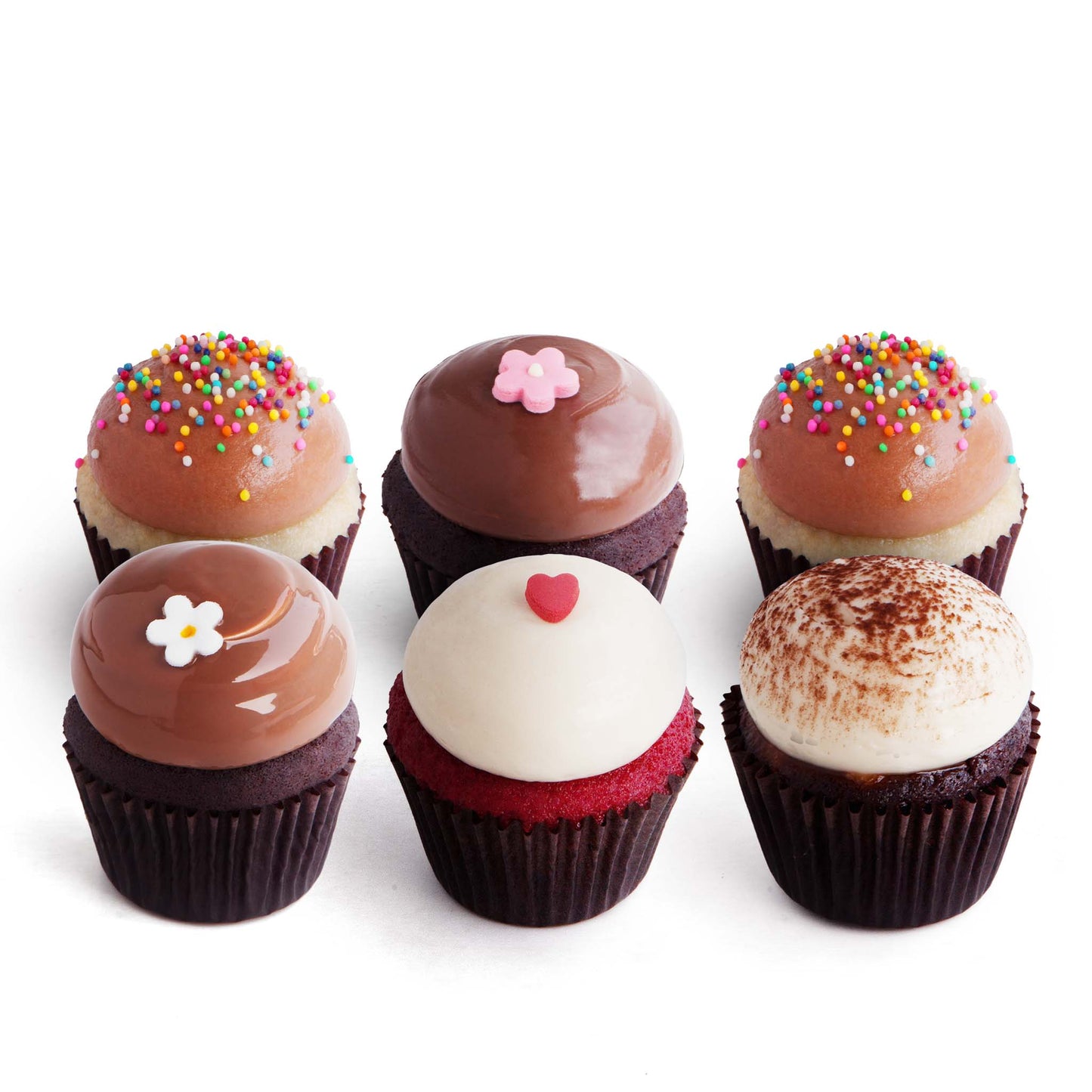 Cupcakes (Box of 6)